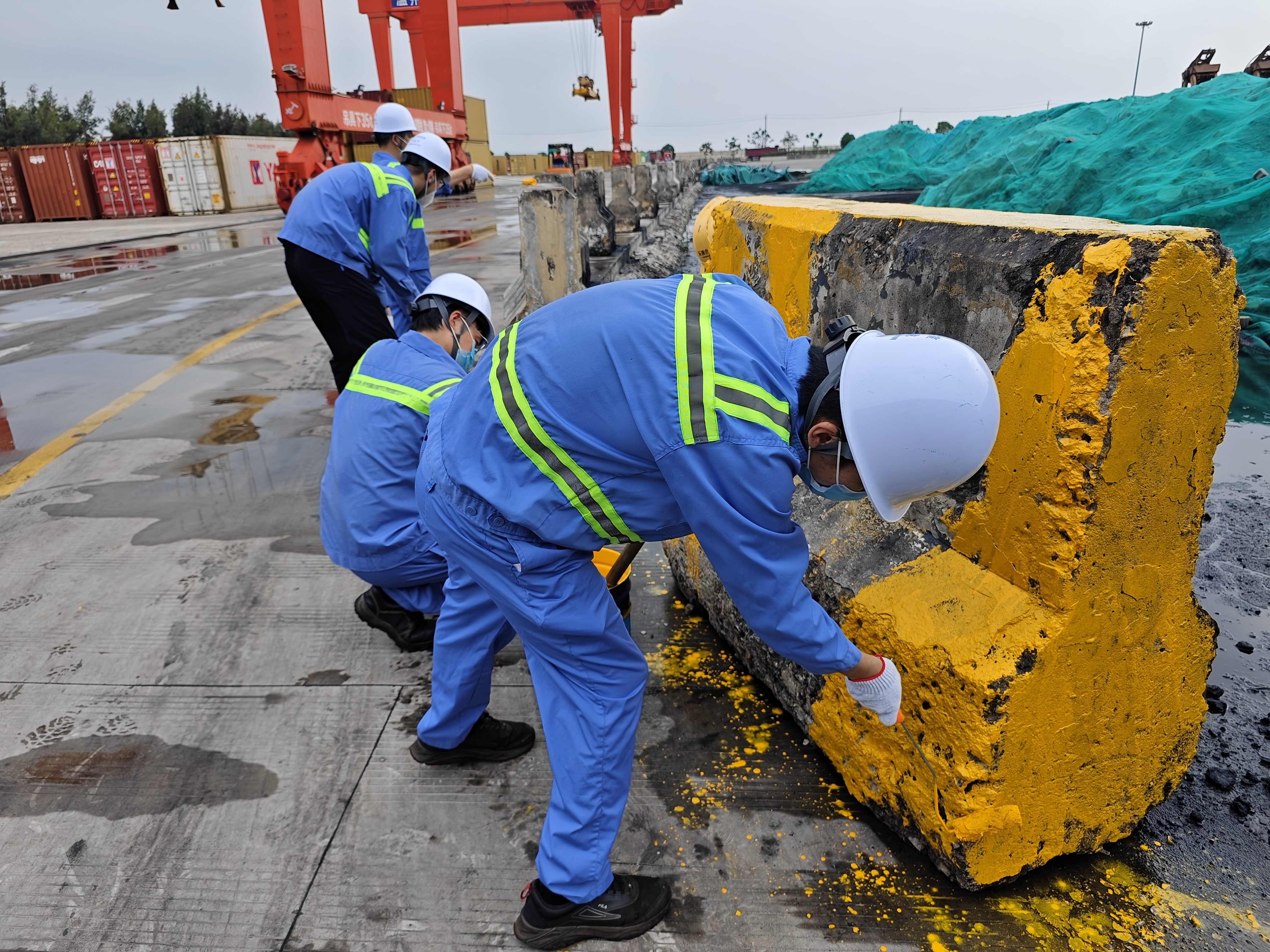 以“党建红”引领“生态绿”：乐清湾港区环境整治旧貌换新颜