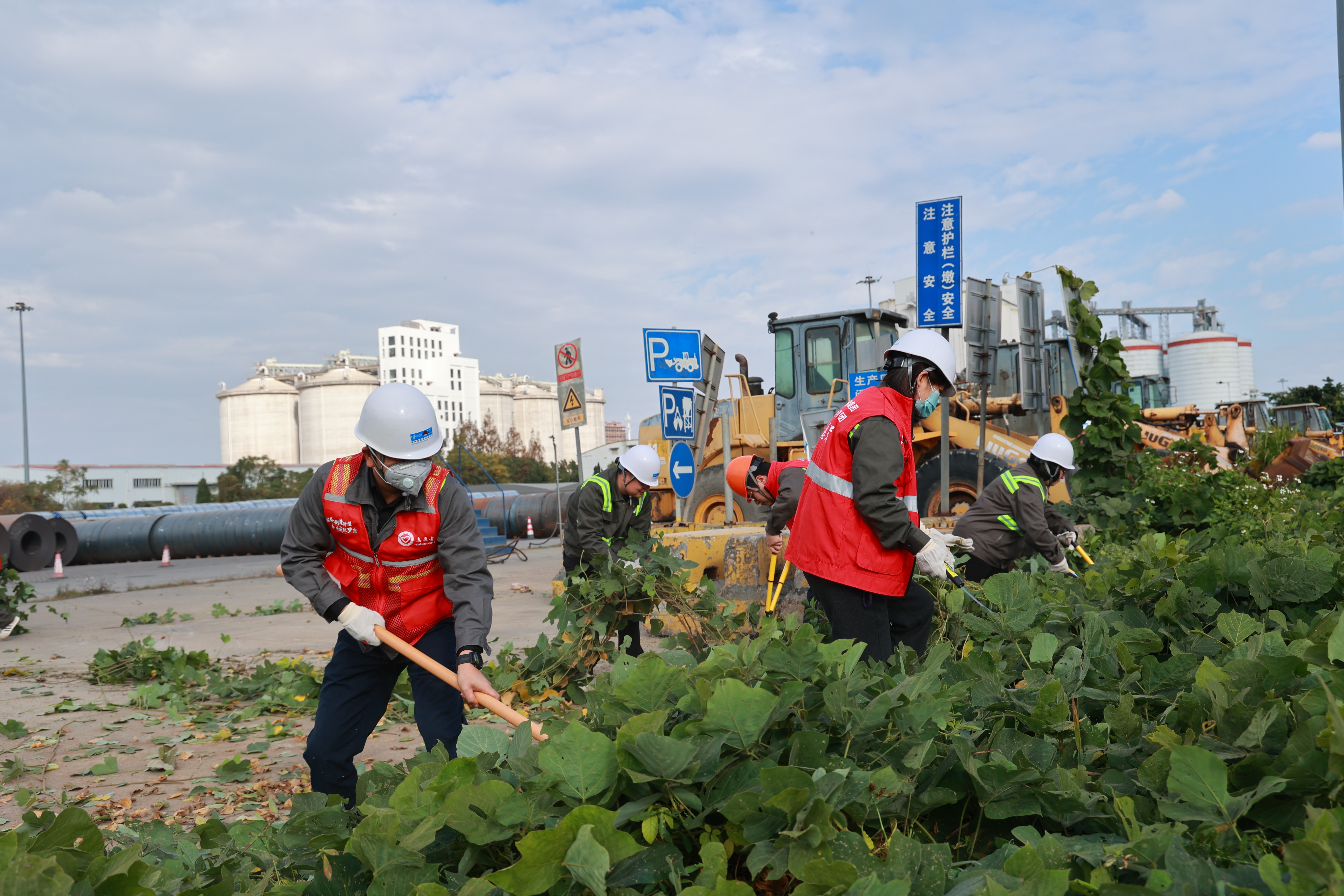 金洋公司开展港区环境卫生美化志愿服务活动