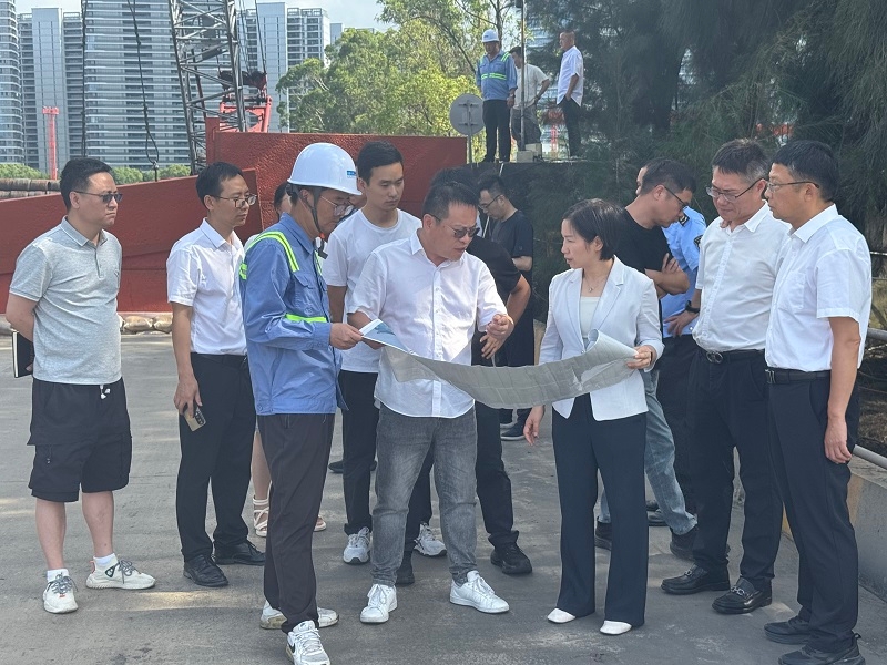 龙湾区区长李丹带队赴龙湾港区督查海塘安澜工程